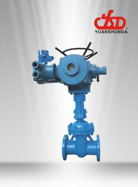 電動(dòng)明桿橡膠閘閥